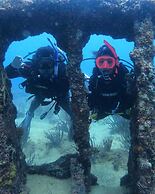 Hotel paradise Puerto la Cruz