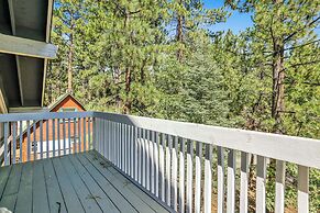 Four Little Bears Cabin #2490