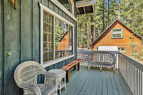 Four Little Bears Cabin #2490