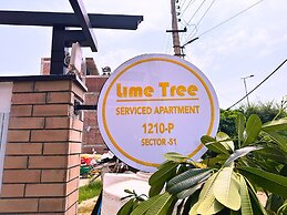 Lime Tree Hotel Sector 51 Gurgaon