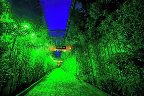 Holiday Green