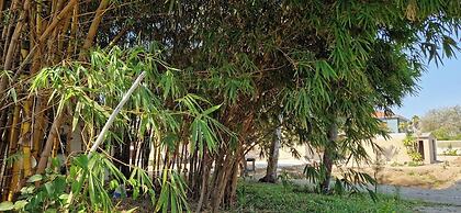 Comfort Inn Guest House