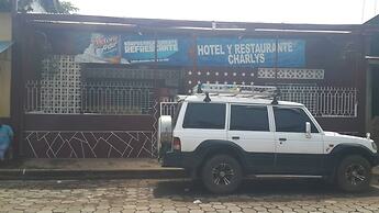 Andino's Hotel Bar y Rest El Viejo