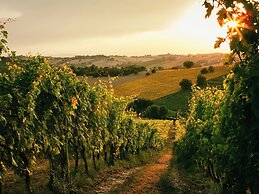 Sanders Arsorama Arsos