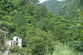 Maulyar Forest Resort