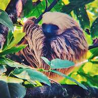 ataraxia bocas del toro