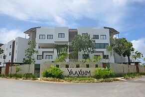 oasis yaaxlum