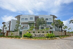 oasis yaaxlum