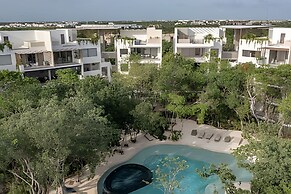 oasis yaaxlum