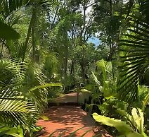 oasis yaaxlum
