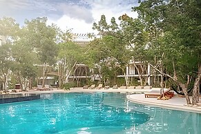 oasis yaaxlum