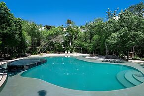 oasis yaaxlum