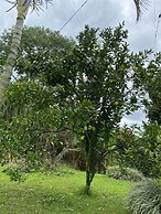 Finca Hotel Tierra Grata