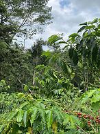 Finca Hotel Tierra Grata