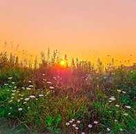 Cabin with Character