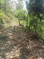 Sandunga