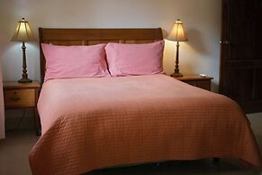 Villa Aurora Juan Dolio GuavaBerry