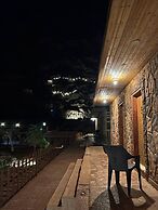 Moon life in Wadi Rum