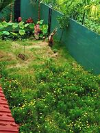 Villa Pleiku Pho