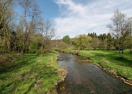 Comfy Holiday Home in Burg Reuland With Sauna, Terrace, BBQ