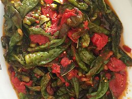 Apartment at the Foot of Mt. Vesuvius