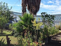 Apartment at the Foot of Mt. Vesuvius