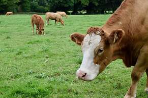 Secret Cottage by the Sea Kilbrittain Co Cork