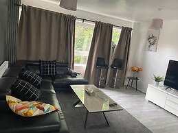 Cozy City Apartment in Birmingham