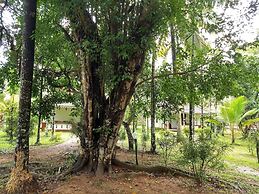 Palmgrove Lake Resort