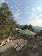 Koro Treehouse Resort