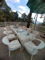 Koro Treehouse Resort