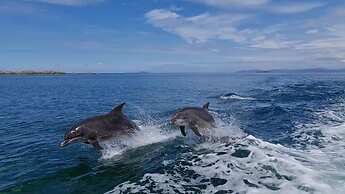 Little Cottage-village of Bunessan-sleeps4