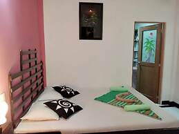 Lions Gate Homestay