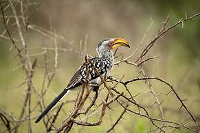 aha Skukuza Safari Lodge