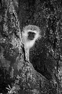 aha Skukuza Safari Lodge