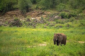 aha Skukuza Safari Lodge
