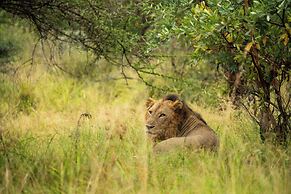 aha Skukuza Safari Lodge