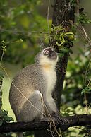 aha Skukuza Safari Lodge