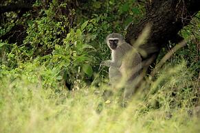aha Skukuza Safari Lodge