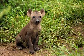 aha Skukuza Safari Lodge