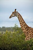 aha Skukuza Safari Lodge