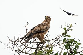 aha Skukuza Safari Lodge