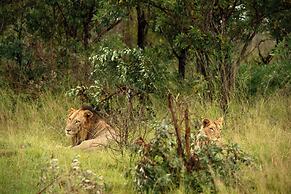 aha Skukuza Safari Lodge