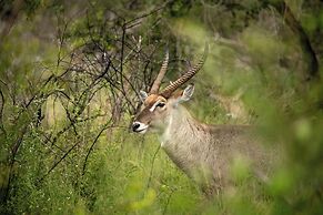 aha Skukuza Safari Lodge