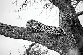 aha Skukuza Safari Lodge