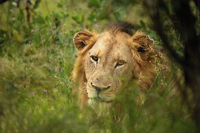 aha Skukuza Safari Lodge