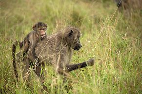 aha Skukuza Safari Lodge