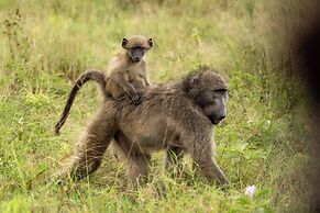 aha Skukuza Safari Lodge