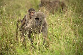 aha Skukuza Safari Lodge