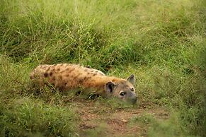 aha Skukuza Safari Lodge